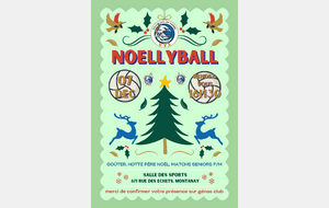 Noellyball